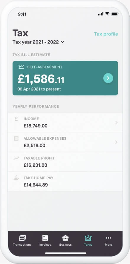 Shot of the tax overview tool on the Coconut app