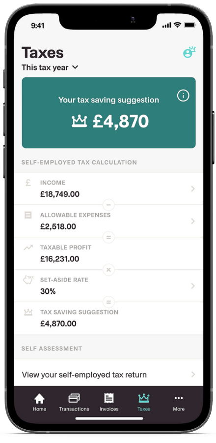 Tax screen in Coconut's Self Assessment and Tax Return Software 